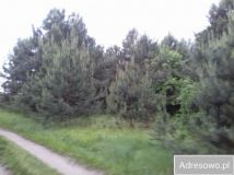 Działka rolno-budowlana Węgrzynówek. Zdjęcie 1