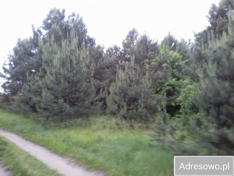 Działka rolno-budowlana Węgrzynówek. Zdjęcie 2