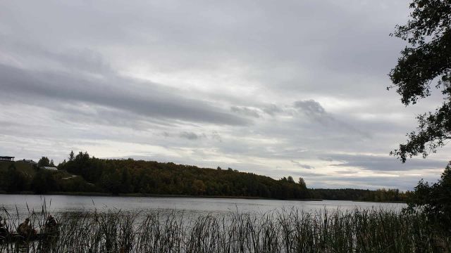 Działka rekreacyjna Kruszyny Szlacheckie. Zdjęcie 1