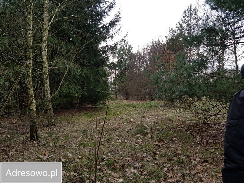 Działka rolna Ossówno. Zdjęcie 9