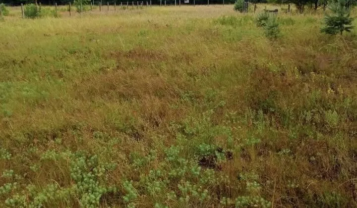 Działka budowlana Korzonek