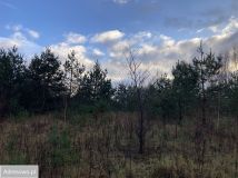 Działka budowlana Banino, ul. Bursztynowa. Zdjęcie 4