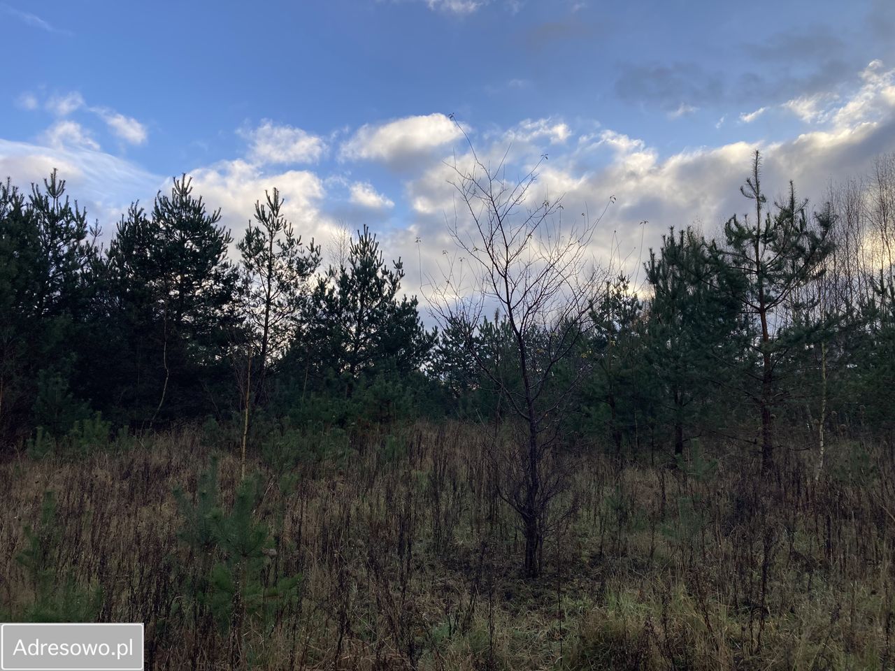 Działka budowlana Banino, ul. Bursztynowa. Zdjęcie 5