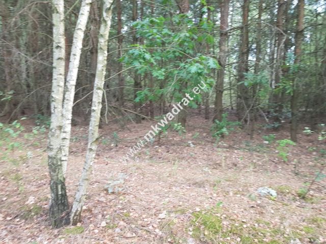 Działka budowlana Nowe Budy. Zdjęcie 6