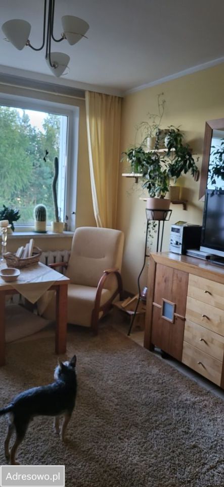 Mieszkanie 2-pokojowe Mikołów, os. Jana Kochanowskiego. Zdjęcie 3
