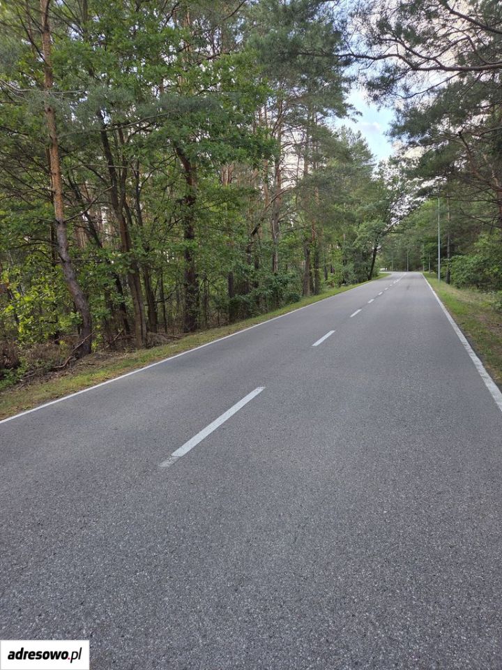 Działka leśna Wólka Radzymińska, ul. Szkolna. Zdjęcie 2