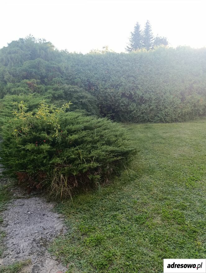 Działka rod Częstochowa, ul. Huculska. Zdjęcie 8