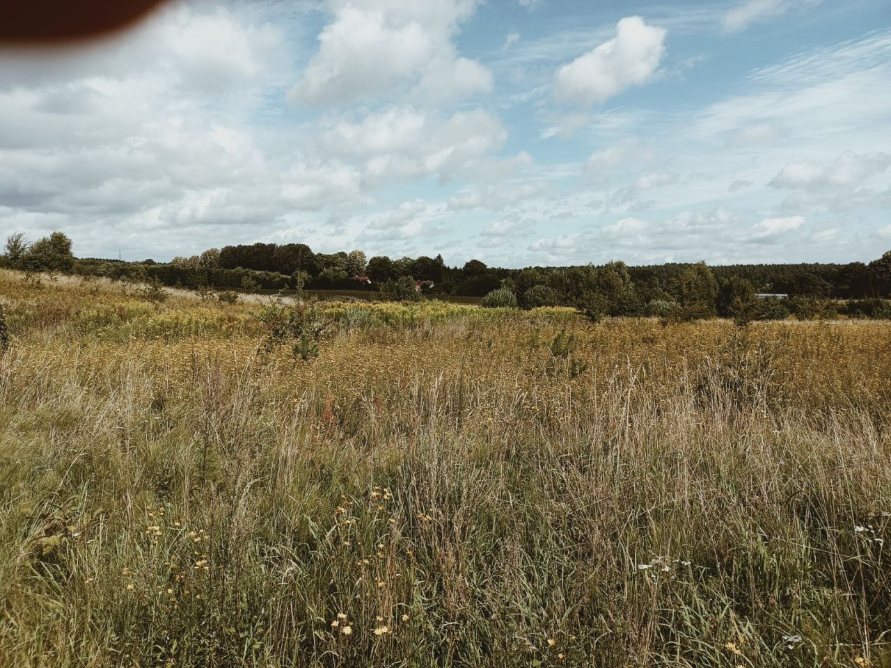 Działka inwestycyjna Naryjski Młyn. Zdjęcie 6