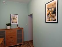 Mieszkanie 1-pokojowe Łódź Śródmieście, ul. Prezydenta Gabriela Narutowicza. Zdjęcie 3