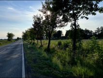 Działka budowlana Dryżyna. Zdjęcie 2