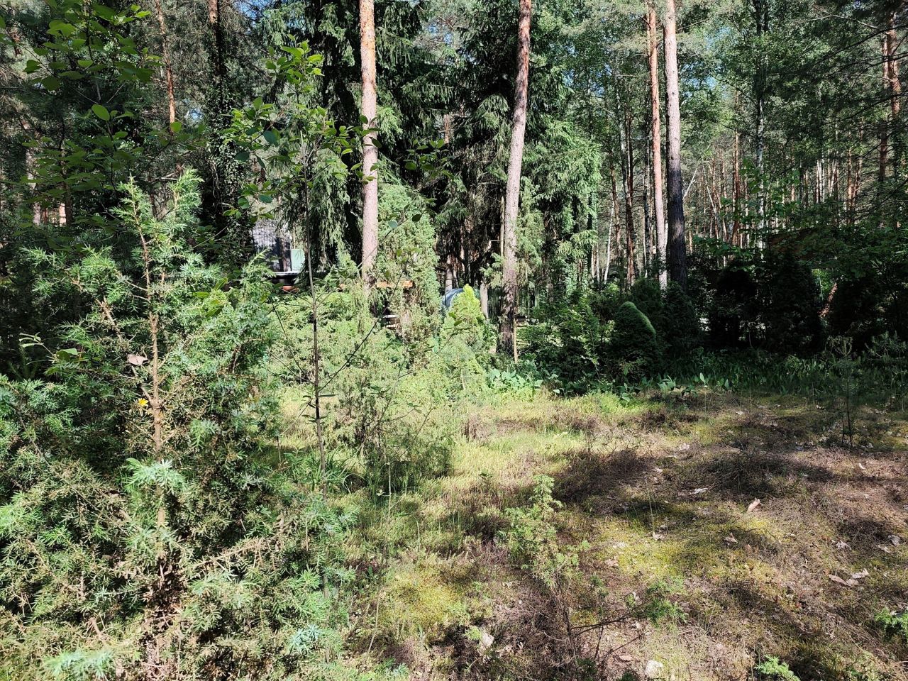 Działka inna Huta Podgórna, ul. Leśna. Zdjęcie 18
