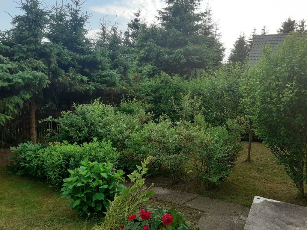 Działka rod Aleksandrowice. Zdjęcie 7