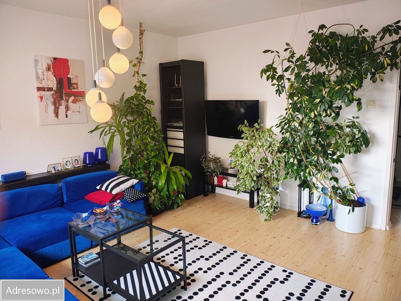 Mieszkanie 2-pokojowe Żary, ul. Zawiszy Czarnego. Zdjęcie 11