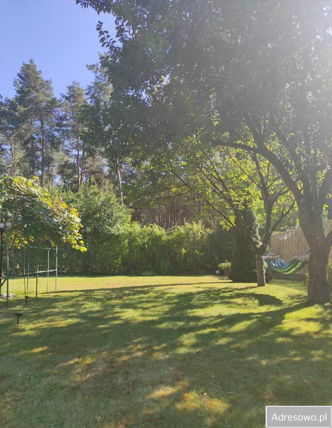 Działka rod Konin, ul. Świętojańska. Zdjęcie 9