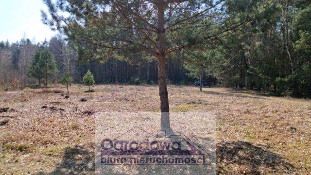 Działka budowlana Kąty. Zdjęcie 12