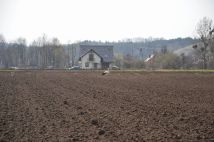 Działka rolno-budowlana Gruczno, ul. Nagietkowa. Zdjęcie 1