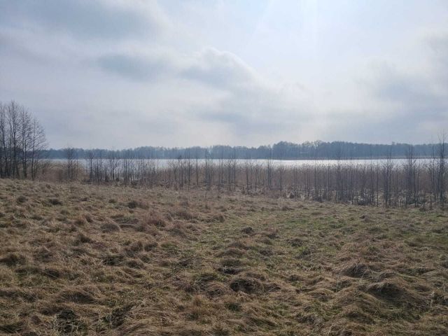 Działka budowlana Stręgiel. Zdjęcie 1