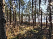 Działka budowlana Dębnica. Zdjęcie 4