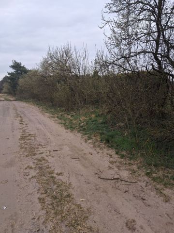 Działka budowlana Baranówko. Zdjęcie 3