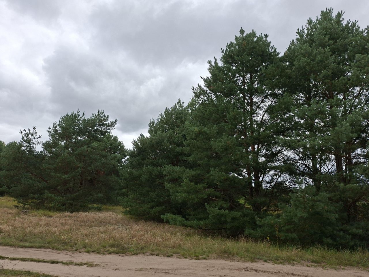 Działka rekreacyjna Kuźnica Żelichowska. Zdjęcie 6