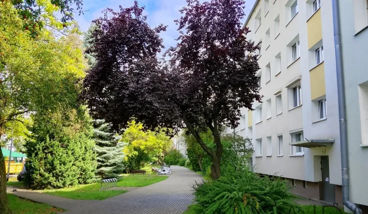 Mieszkanie 3-pokojowe Poznań Chartowo, os. Lecha