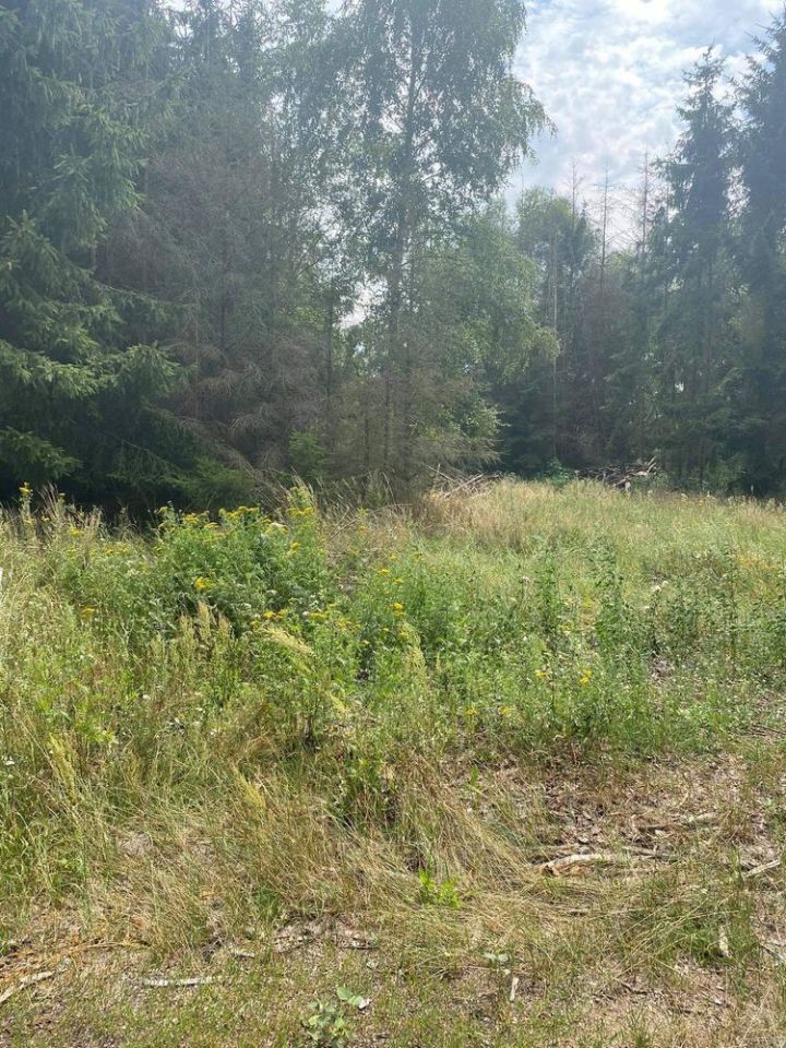 Działka rolno-budowlana Lubcz Wielki. Zdjęcie 3