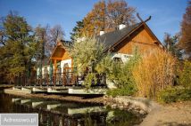 Lokal Legnica Centrum, al. Orła Białego. Zdjęcie 2