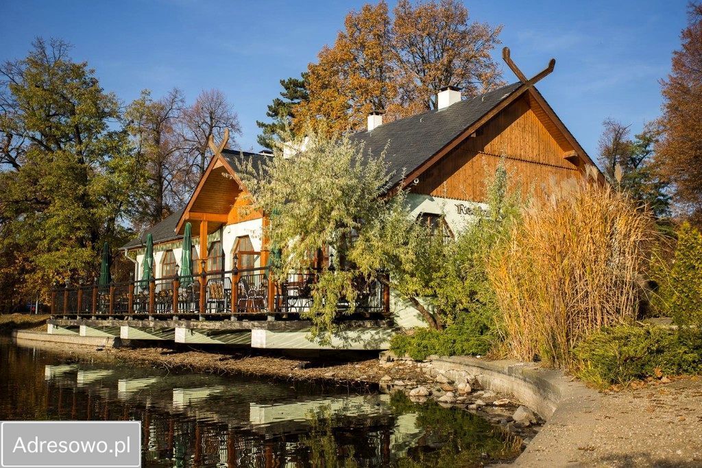 Lokal Legnica Centrum, al. Orła Białego. Zdjęcie 3