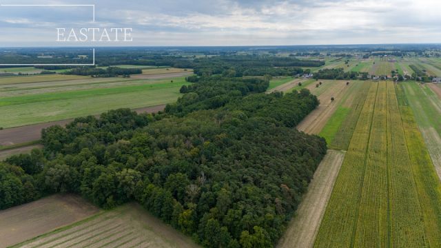 Działka rolno-budowlana Gągolin Północny. Zdjęcie 11