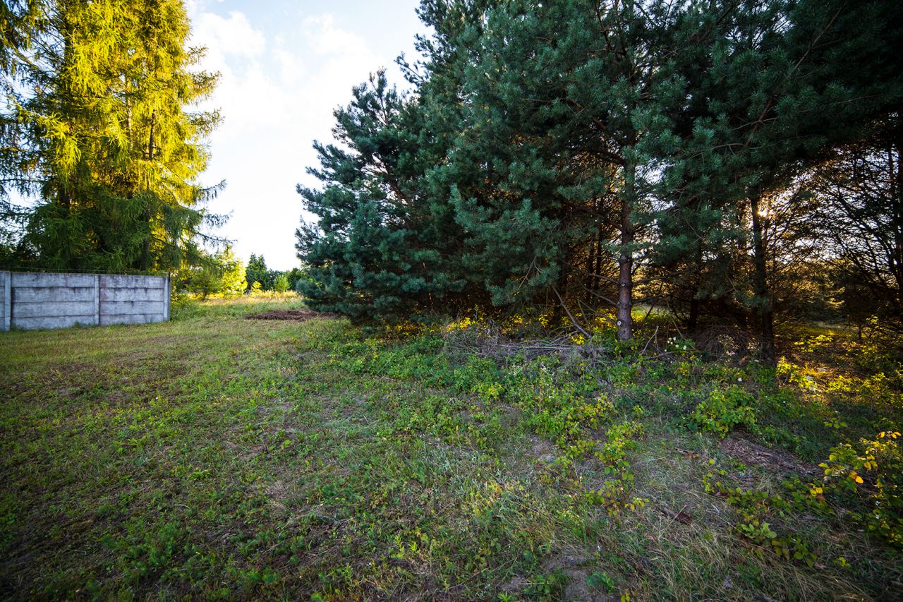 Działka budowlana Celiny. Zdjęcie 20