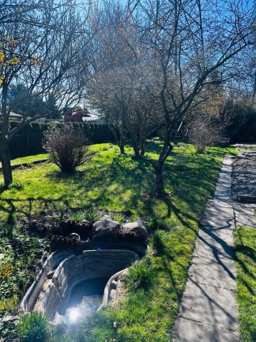 Działka rod Piotrków Trybunalski Belzatka. Zdjęcie 1