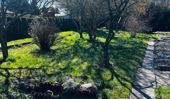 Działka rod Piotrków Trybunalski Belzatka