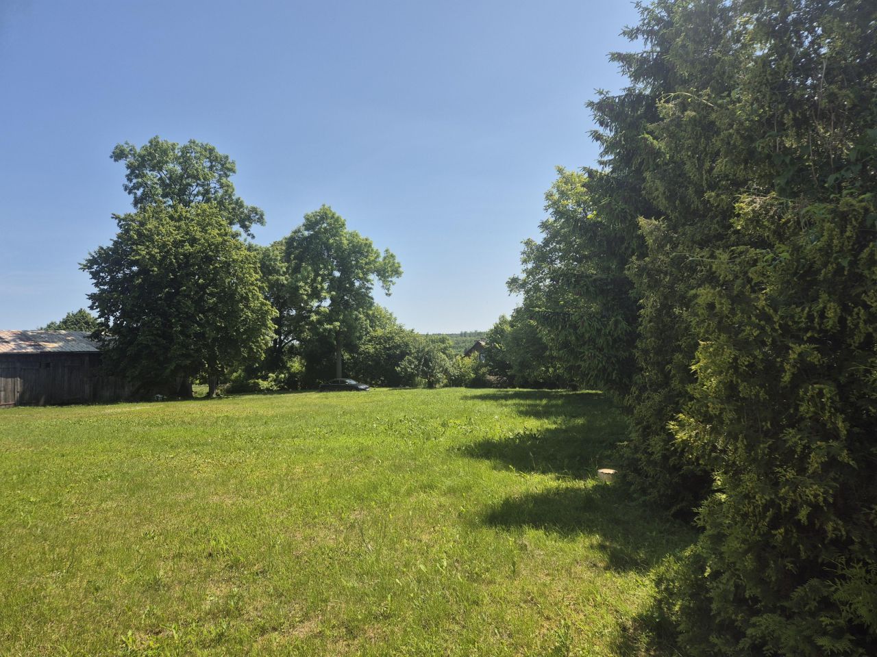 Działka siedliskowa Rychliki. Zdjęcie 9