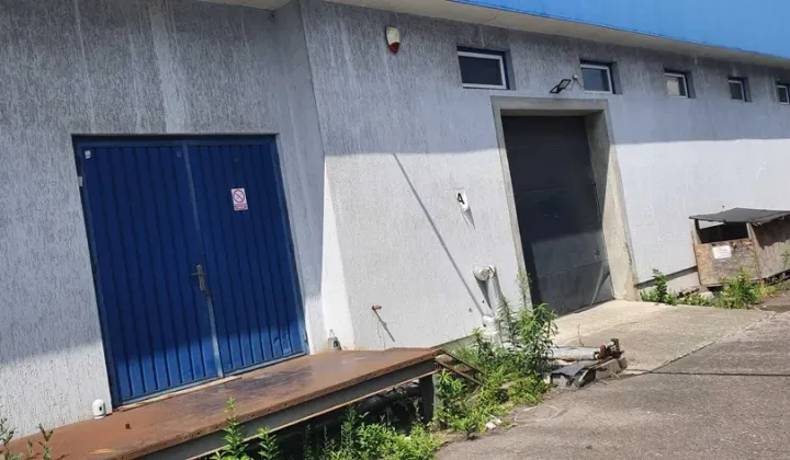 Hala/magazyn Bielsko-Biała Komorowice Śląskie