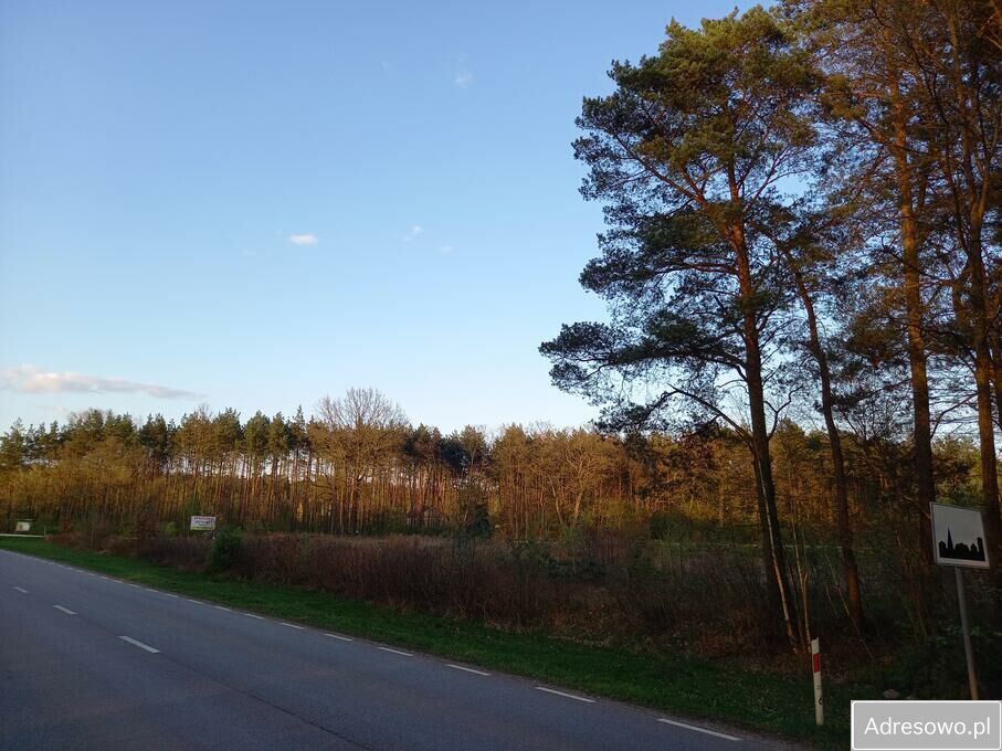 Działka inwestycyjna Kąty Czernickie. Zdjęcie 3