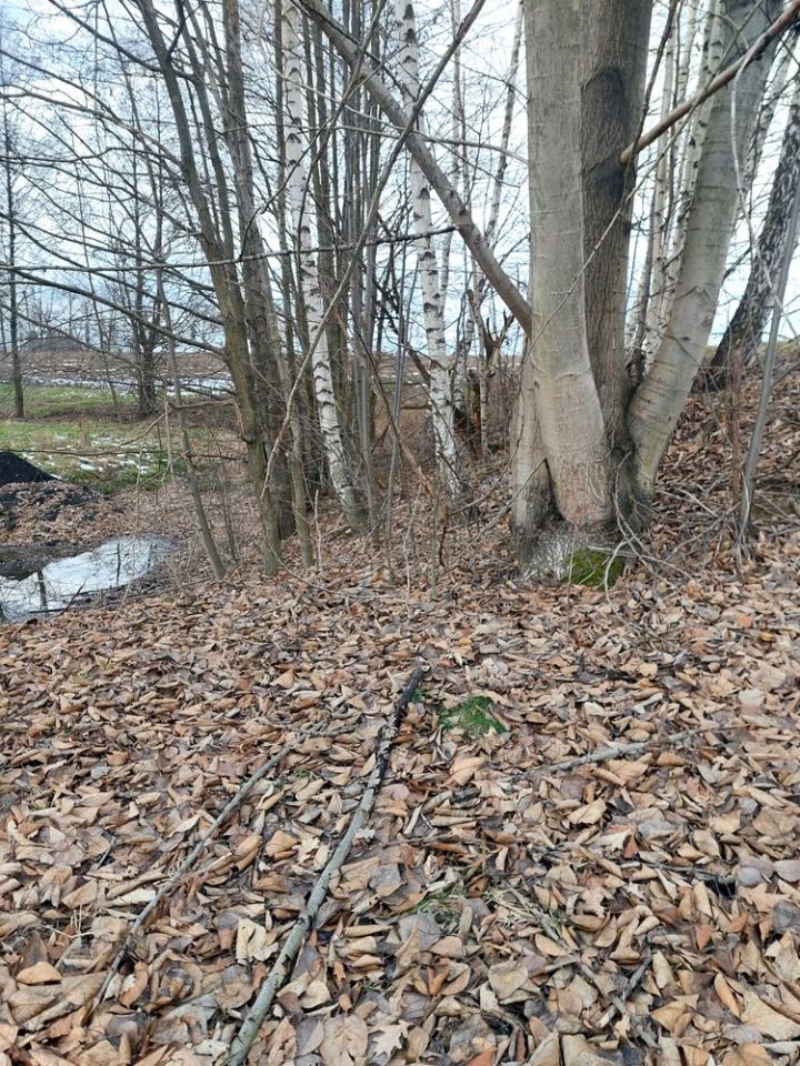 Działka budowlana Studzionka, ul. Robotnicza