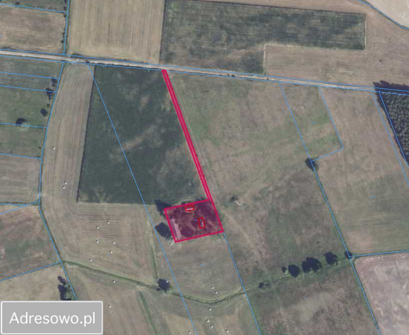 Działka siedliskowa Stegna. Zdjęcie 6