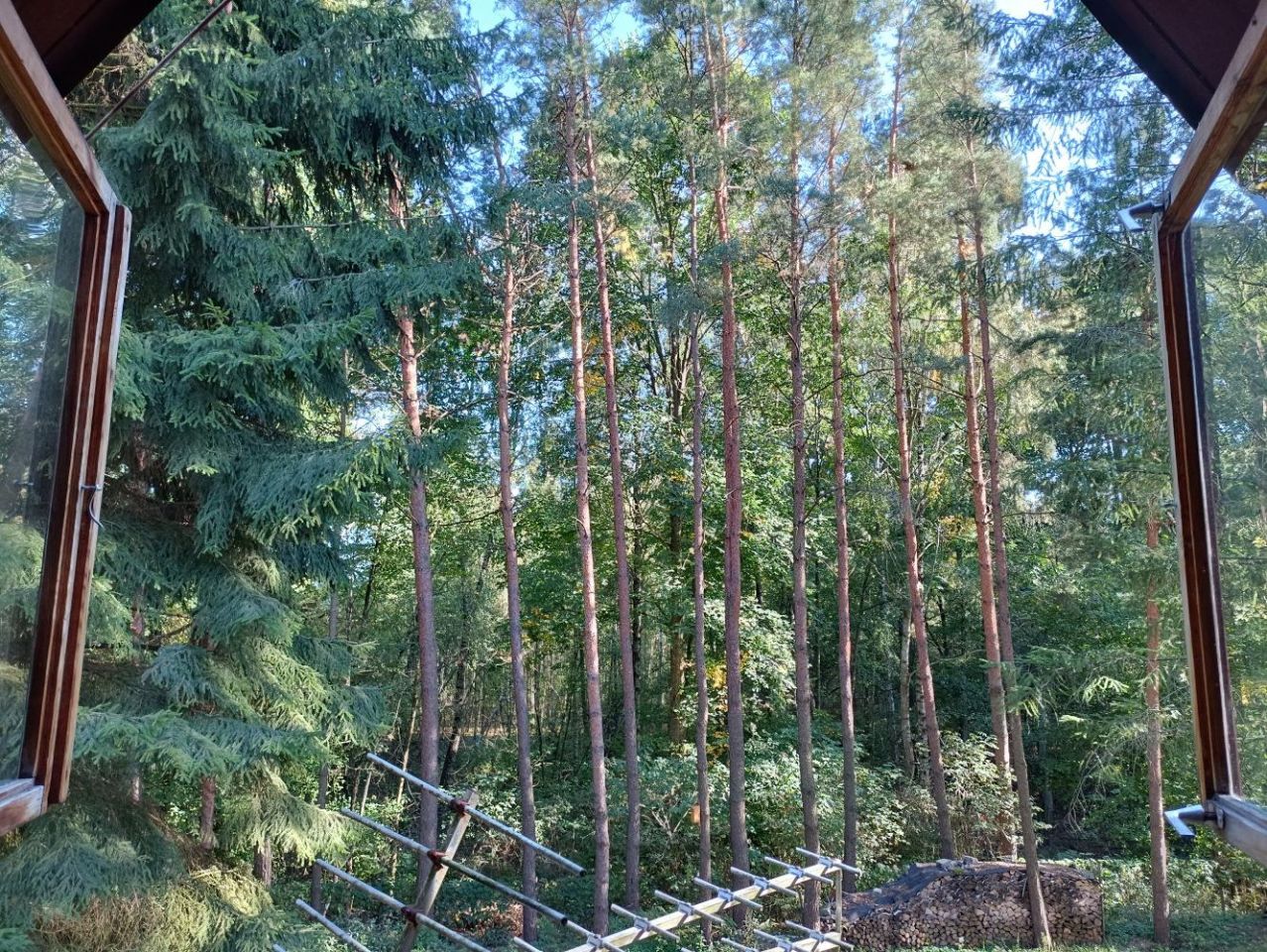 Działka rekreacyjna Popowo-Parcele. Zdjęcie 9