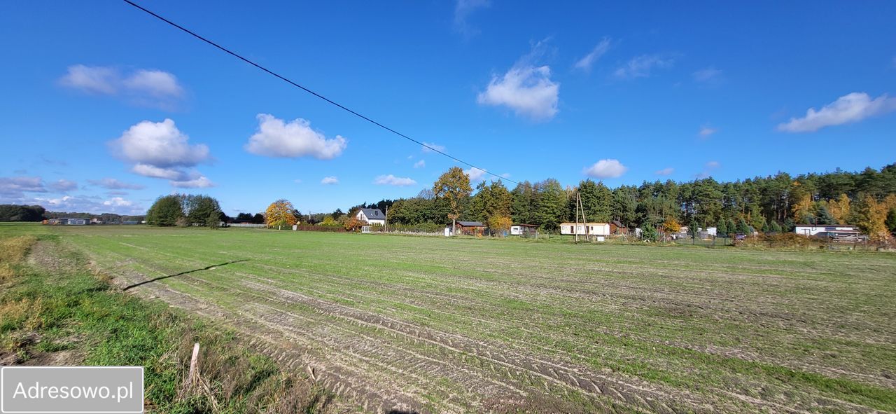 Działka rolno-budowlana Wilków. Zdjęcie 1