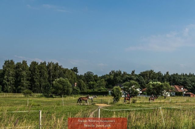 dom wolnostojący, 4 pokoje Pruszowice. Zdjęcie 29