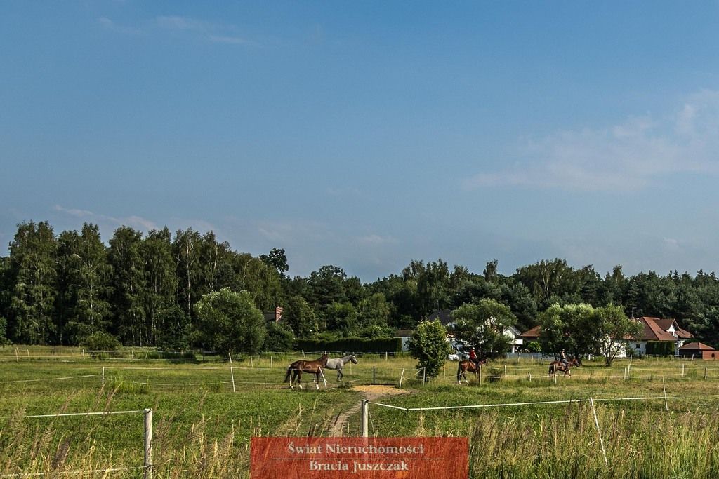 dom wolnostojący, 4 pokoje Pruszowice. Zdjęcie 29