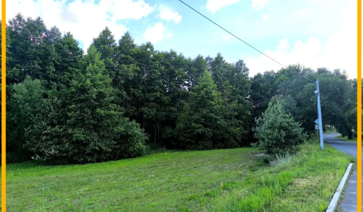 Działka budowlana Bartniczka