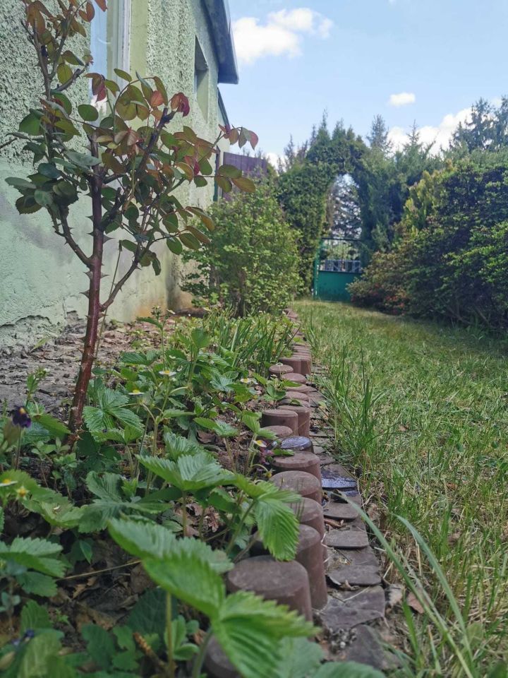 Działka rod Łódź Nowosolna. Zdjęcie 4