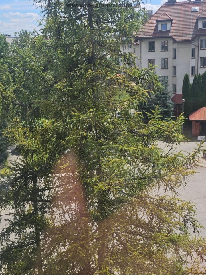 Mieszkanie 2-pokojowe Kraków Mistrzejowice, os. Bohaterów Września. Zdjęcie 11
