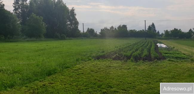 Działka budowlana Żuków. Zdjęcie 6