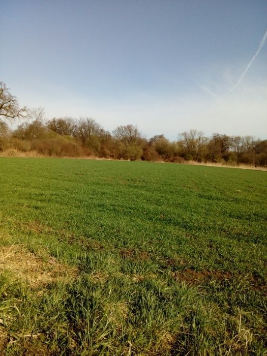 Działka rolna Wrocław Świniary. Zdjęcie 2