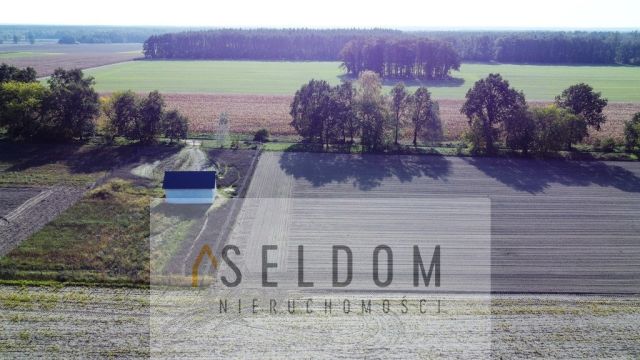 Działka budowlana Lipowa. Zdjęcie 3