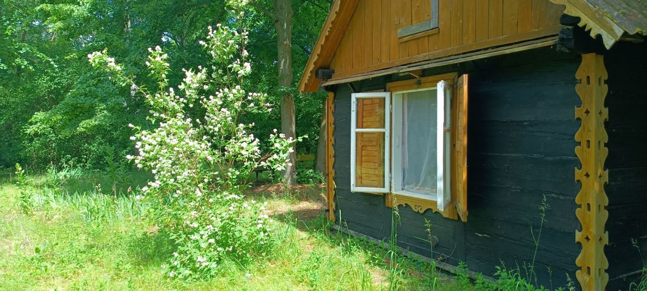 Działka rekreacyjna Zambski Kościelne. Zdjęcie 6