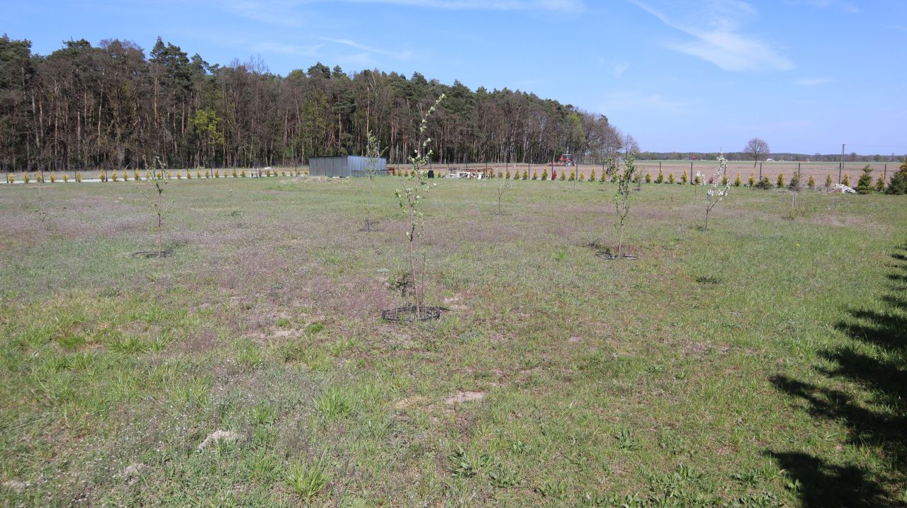 Działka budowlana Charbice Dolne, Charbice Dolne 31b. Zdjęcie 15