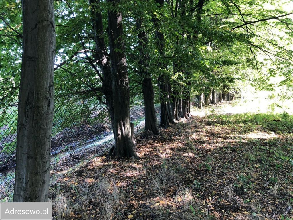 Działka budowlana Grodzisk Mazowiecki, ul. Willowa. Zdjęcie 4